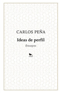 IDEAS DE PERFIL