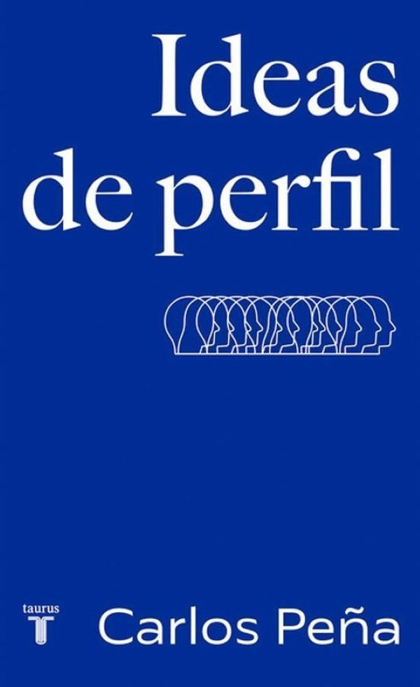 IDEAS DE PERFIL