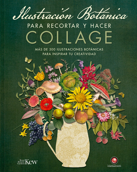 ILUSTRACION BOTANICA PARA RECORTAR Y HACER COLLAGE