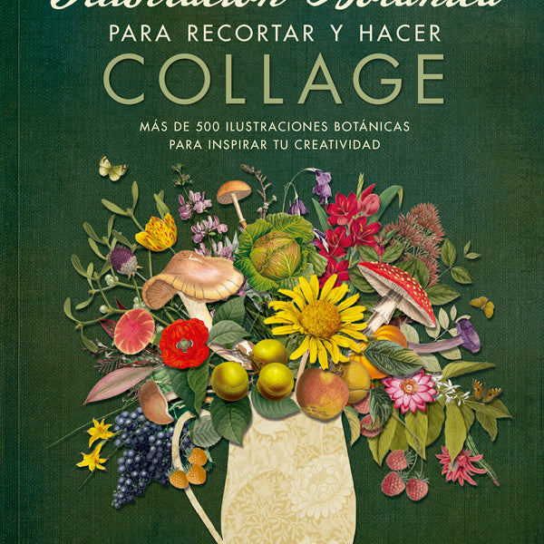 ILUSTRACION BOTANICA PARA RECORTAR Y HACER COLLAGE