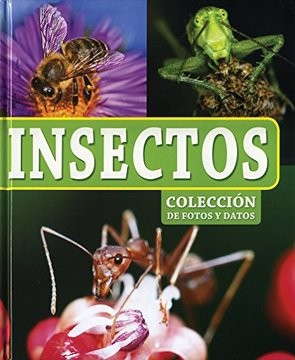 INSECTOS (KIDSBOOKS)