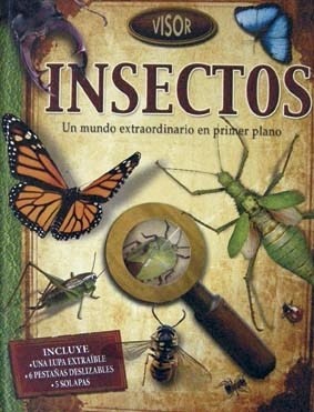 INSECTOS UN MUNDO EXTRAORDINARIO EN PRIMER PLANO
