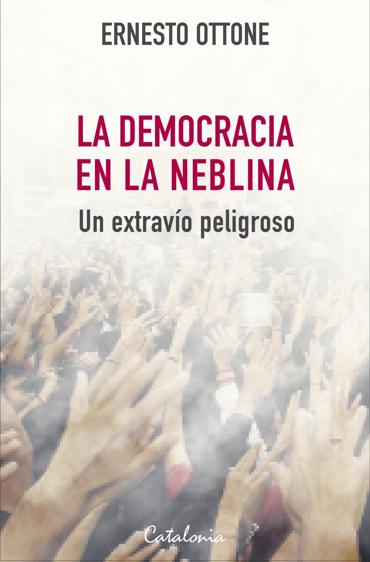 LA DEMOCRACIA EN LA NEBLINA