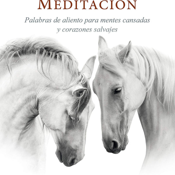 LA DICHA DE LA VERDADERA MEDITACION: PALABRAS DE ALIENTO PARA MENTES CANSADAS Y CORAZONES SALVAJES