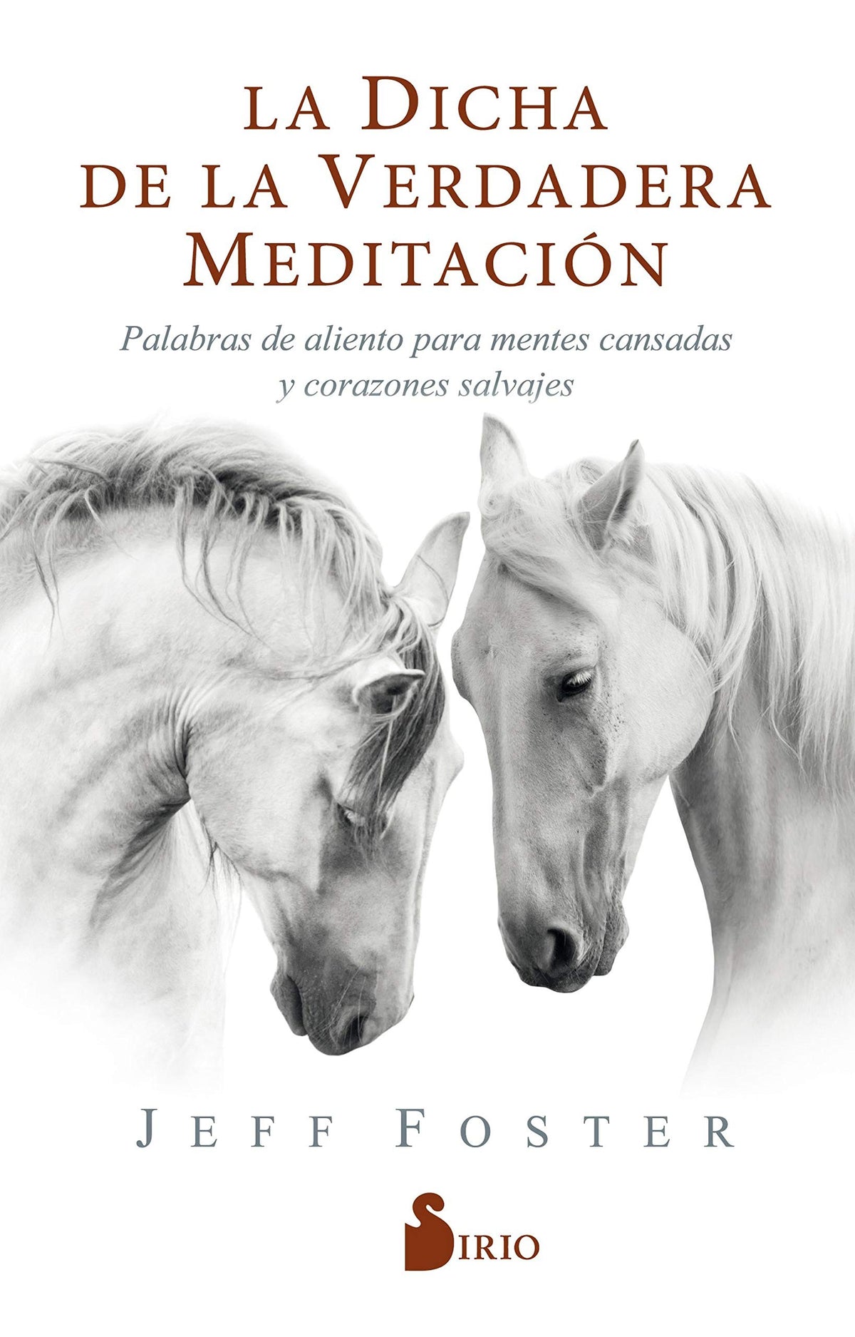 LA DICHA DE LA VERDADERA MEDITACION: PALABRAS DE ALIENTO PARA MENTES CANSADAS Y CORAZONES SALVAJES