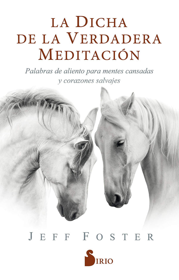 LA DICHA DE LA VERDADERA MEDITACION: PALABRAS DE ALIENTO PARA MENTES CANSADAS Y CORAZONES SALVAJES