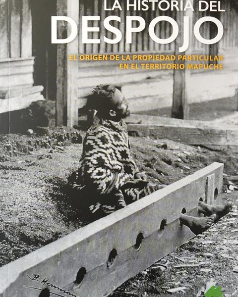 LA HISTORIA DEL DESPOJO