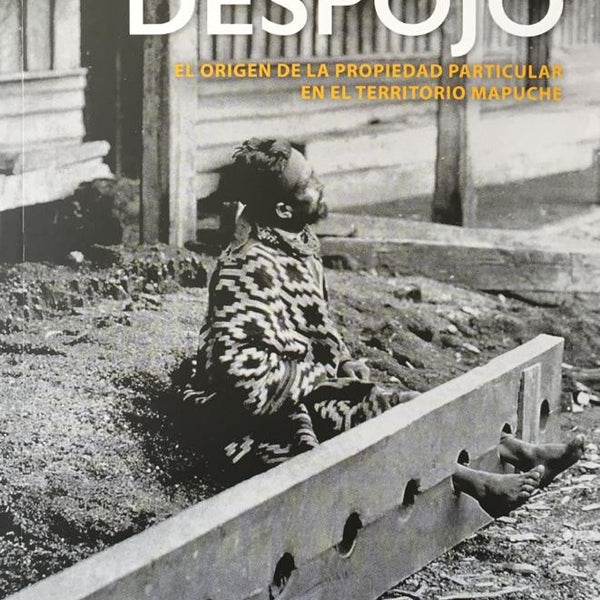 LA HISTORIA DEL DESPOJO