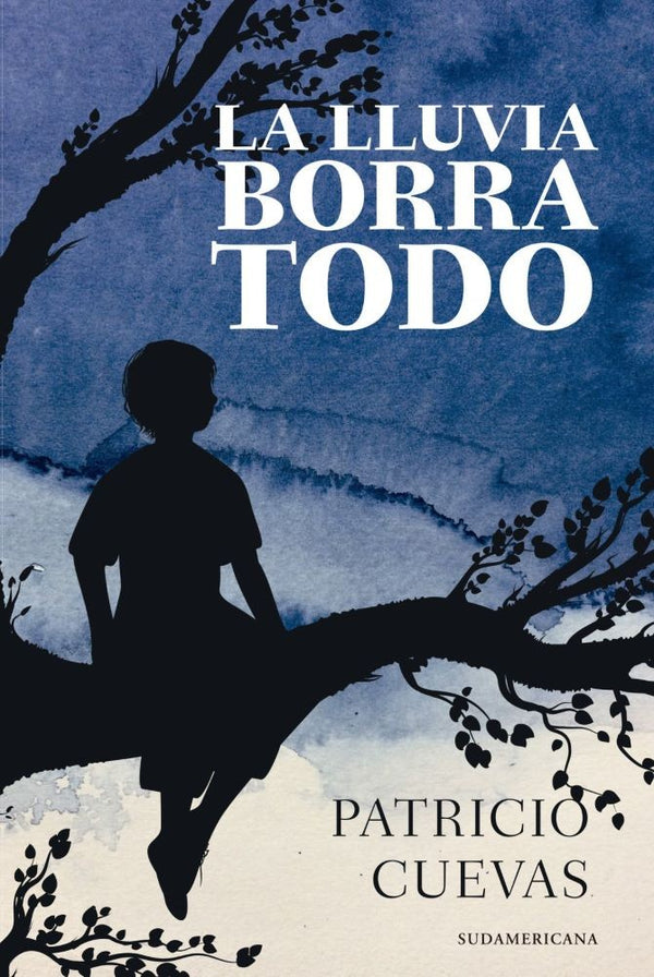 LA LLUVIA BORRO TODO