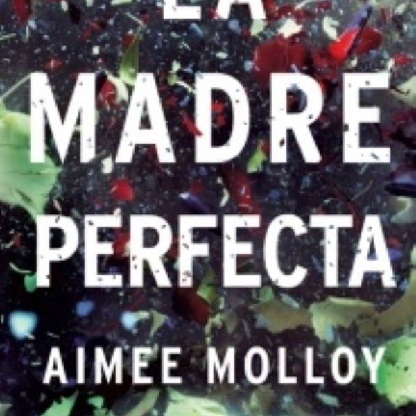 LA MADRE PERFECTA