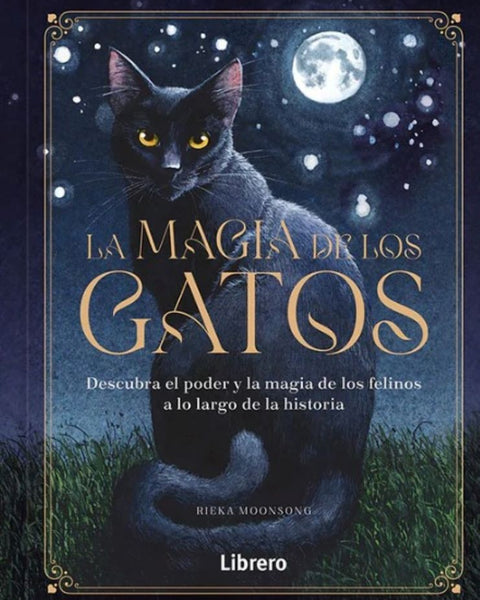 LA MAGIA DE LOS GATOS