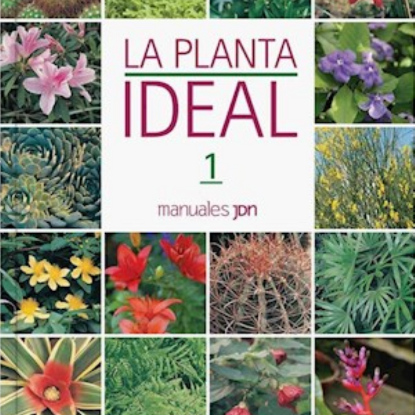 LA PLANTA IDEAL