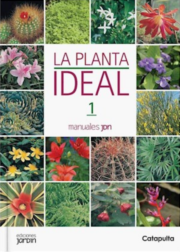 LA PLANTA IDEAL