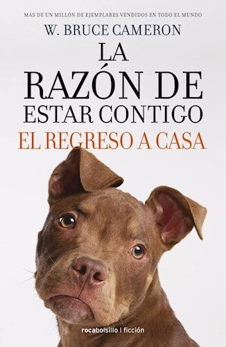 LA RAZON DE ESTAR CONTIGO 4. EL REGRESO A CASA