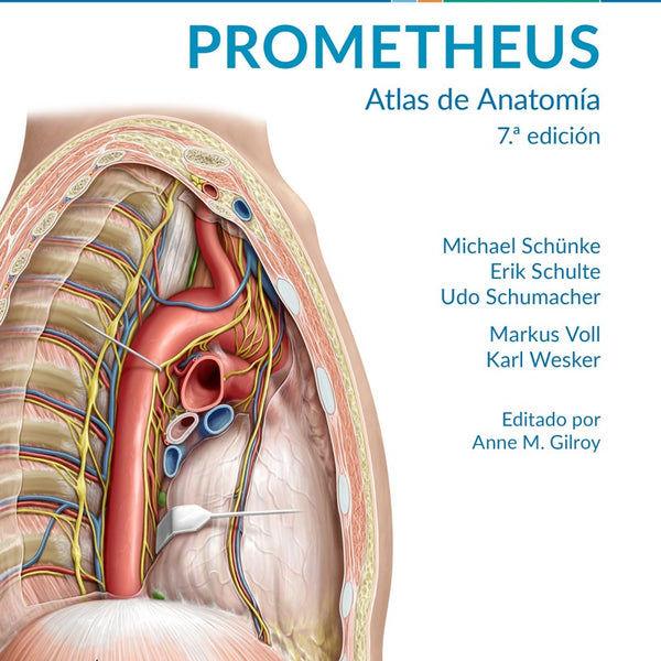 PROMETHEUS. ATLAS DE ANATOMIA  7ª ED. FICHAS DE AUTOEVALUACION TOMO 2. ORGANOS INTERNOS