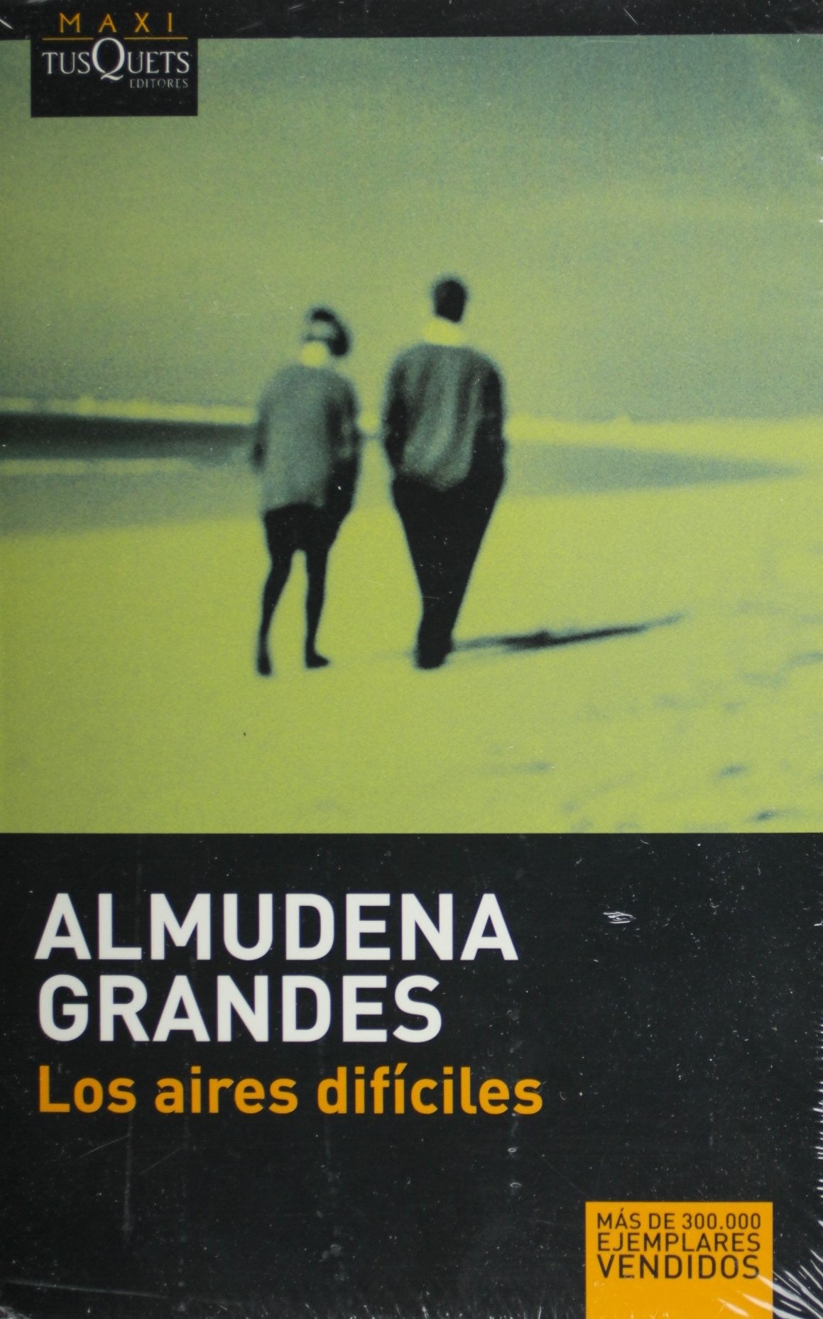 LOS AIRES DIFICILES