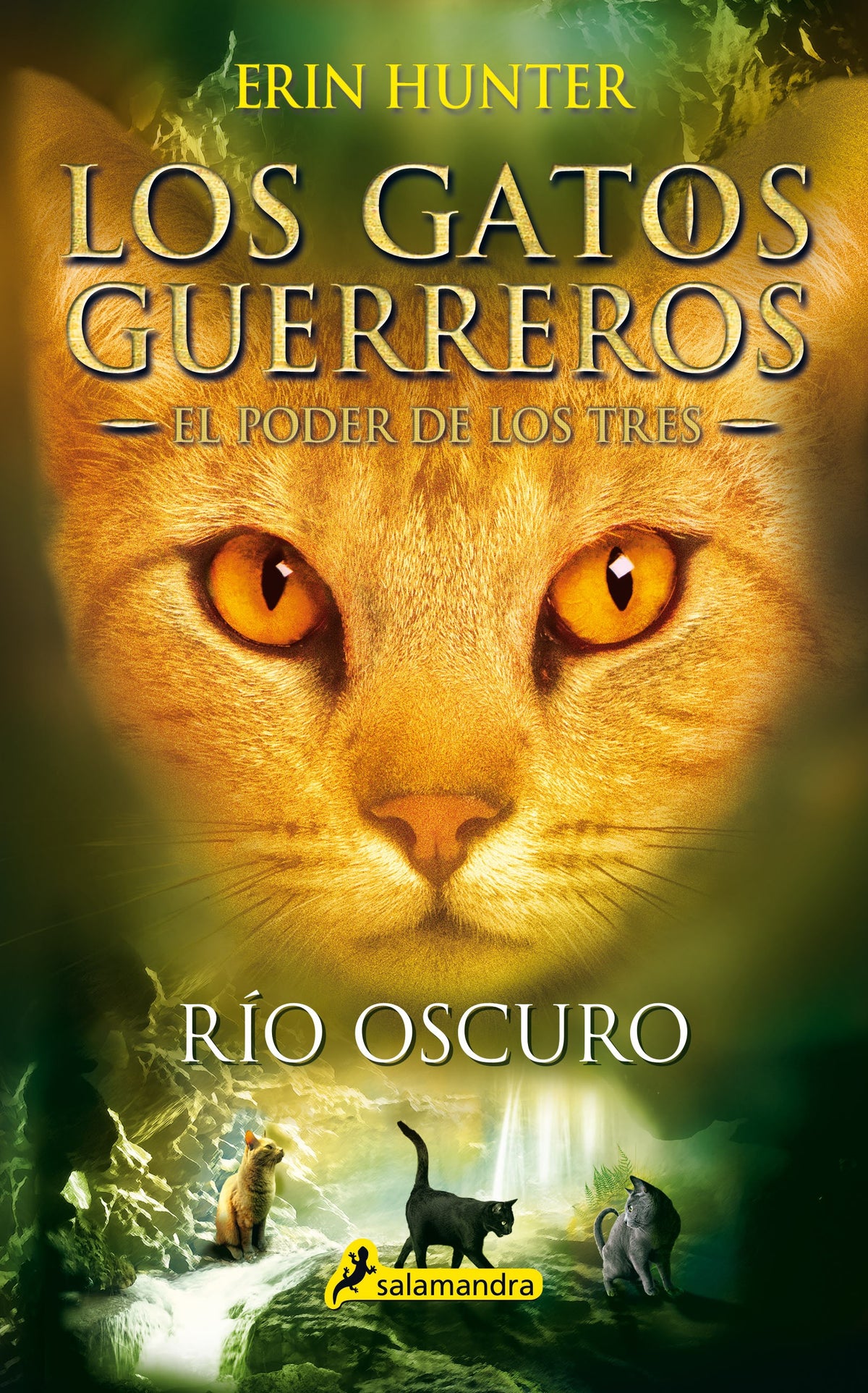 LOS GATOS GUERREROS 2 RIO OSCURO SAGA PODER DE LOS TRES