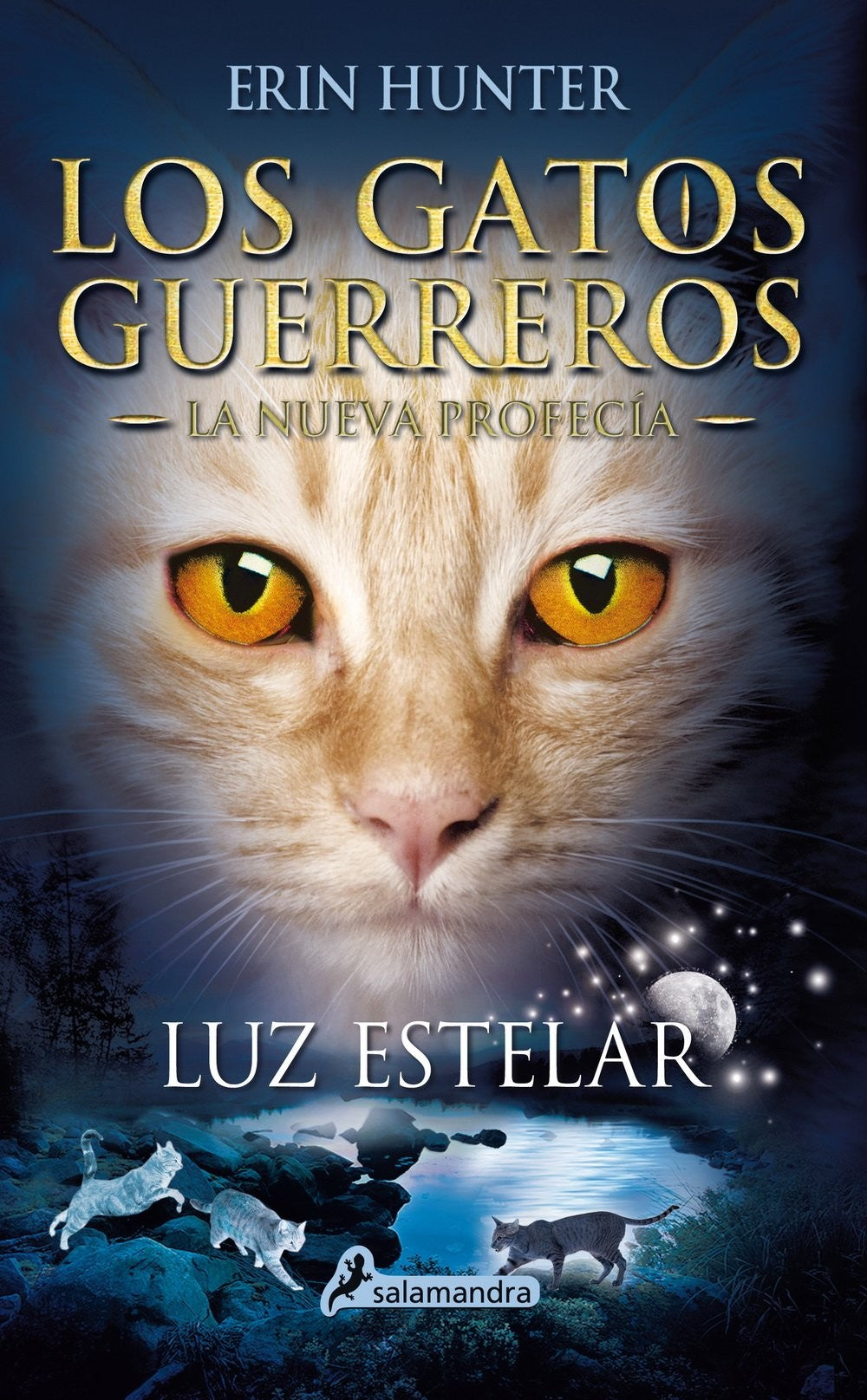 LOS GATOS GUERREROS LA NUEVA PROFECIA 4 - LUZ ESTELAR