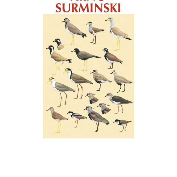 Los Pajaros De Auschwitz