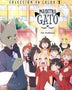 MAESTRO GATO 1 COLECCION COLOR