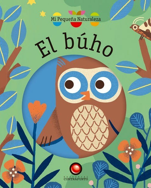 mi pequeña naturaleza - EL BUHO