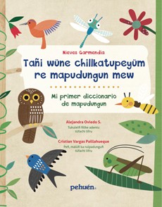 MI PRIMER DICCIONARIO MAPUDUNGUN