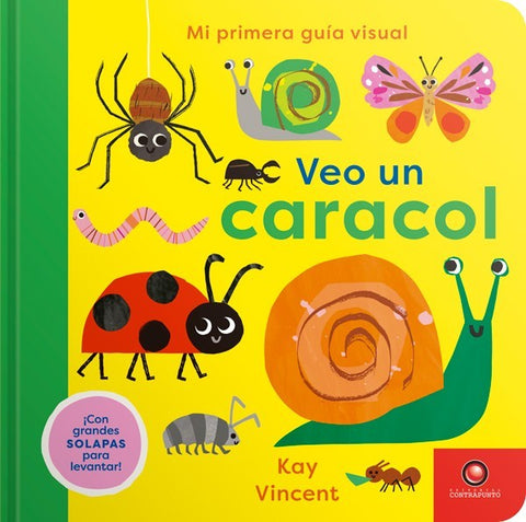 MI PRIMERA GUIA VISUAL. VEO UN CARACOL