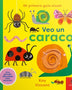MI PRIMERA GUIA VISUAL. VEO UN CARACOL