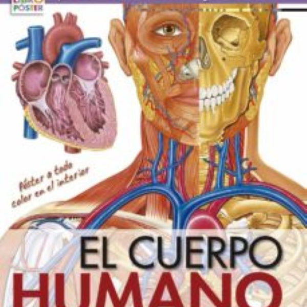 MII GRAN LIBRO PÓSTER: CUERPO HUMANO