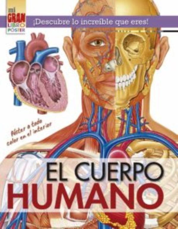 MII GRAN LIBRO PÓSTER: CUERPO HUMANO