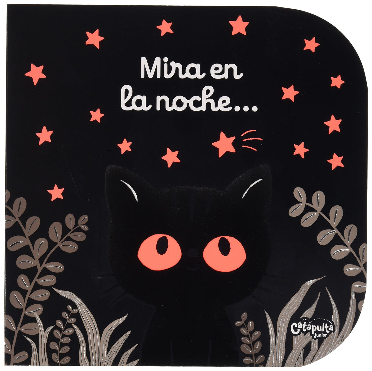 MIRA EN LA NOCHE
