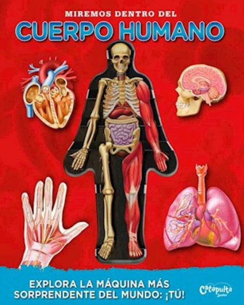 MIREMOS DENTRO DEL CUERPO HUMANO