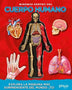 MIREMOS DENTRO DEL CUERPO HUMANO