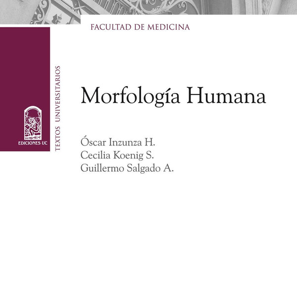 Morfologia Humana