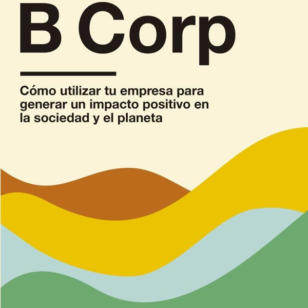 MOVIMIENTO B CORP