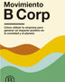 MOVIMIENTO B CORP
