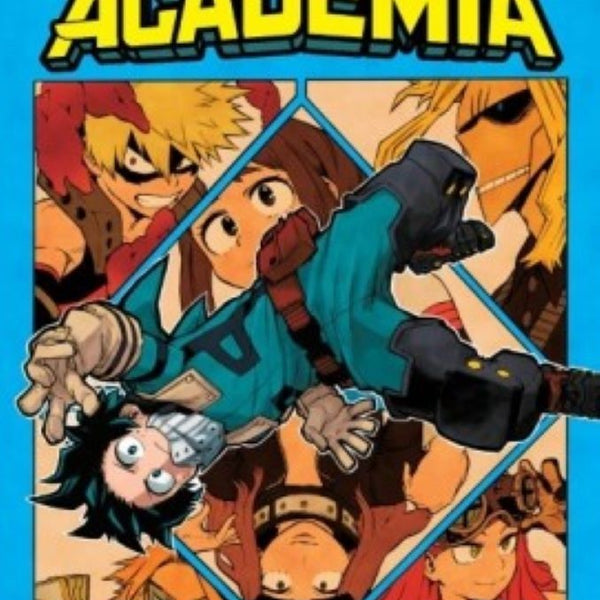 MY HERO ACADEMIA 12