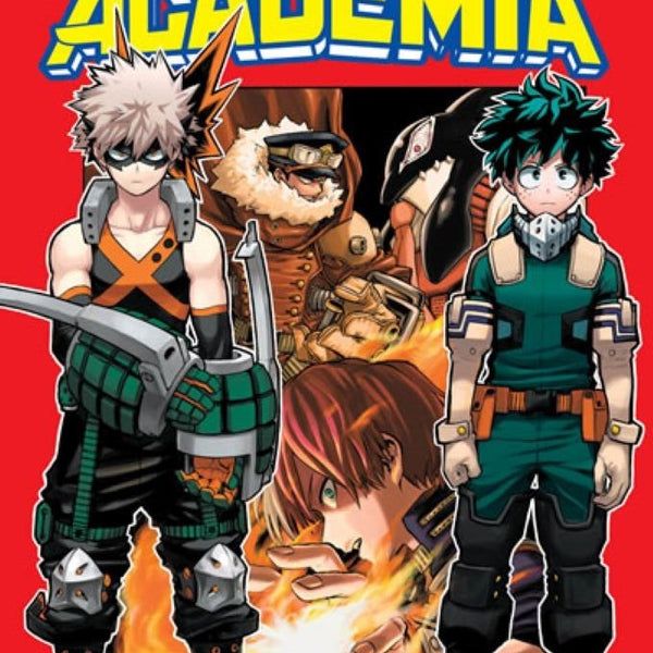 MY HERO ACADEMIA 13