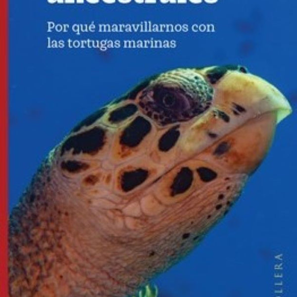 NAVEGANTES ANSCESTRALES