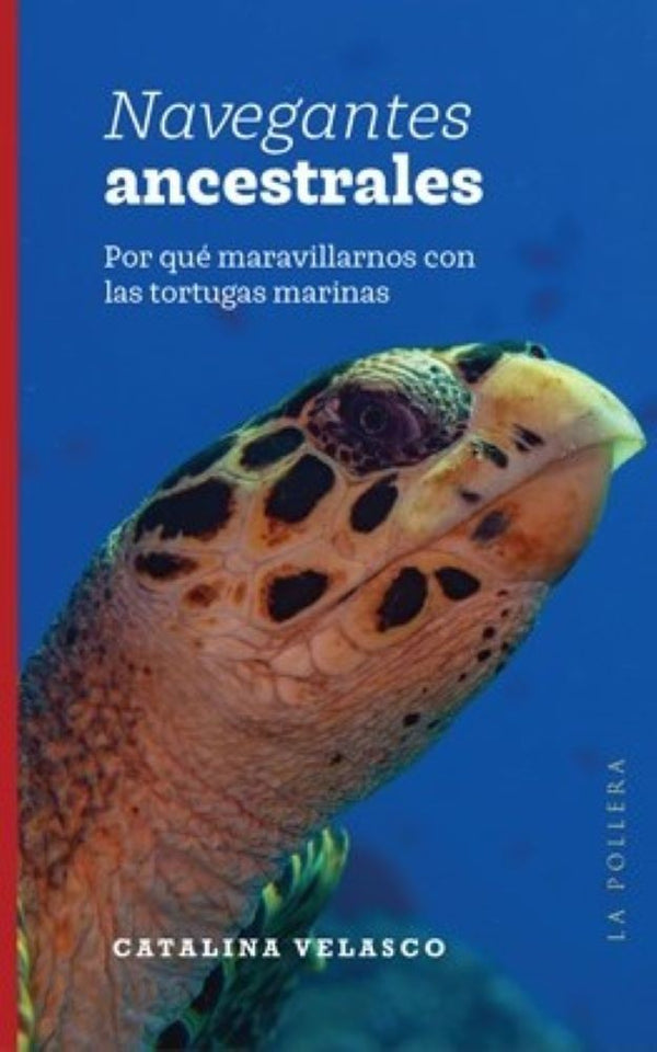 NAVEGANTES ANSCESTRALES