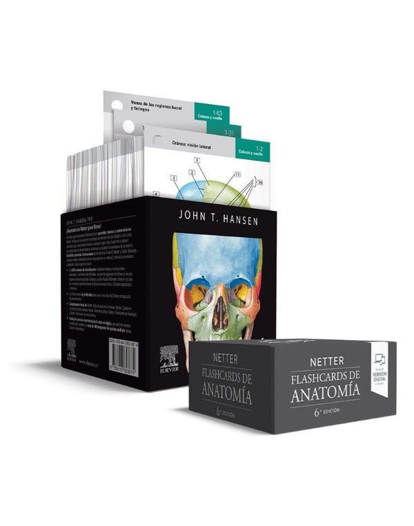 NETTER. FLASHCARDS DE ANATOMIA 6ED.