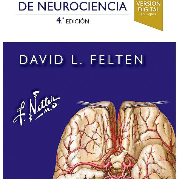 NETTER. FLASHCARDS DE NEUROCIENCIA 4ED.