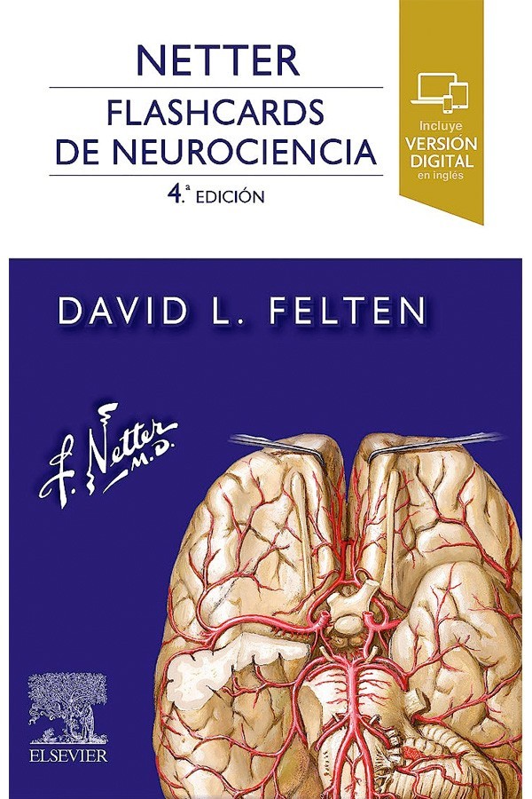 NETTER. FLASHCARDS DE NEUROCIENCIA 4ED.