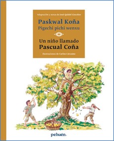 NIÑO LLAMADO PASCUAL COÑA