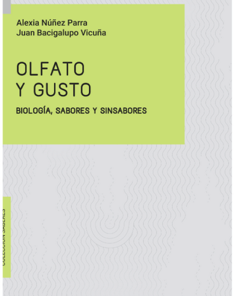 OLFATO Y GUSTO