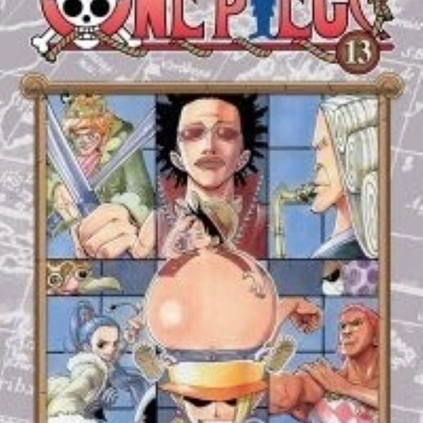 ONE PIECE 13