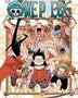 ONE PIECE 43