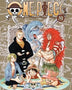 ONE PIECE 31