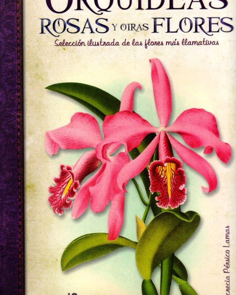 ORQUIDEAS ROSAS Y OTRAS FLORES