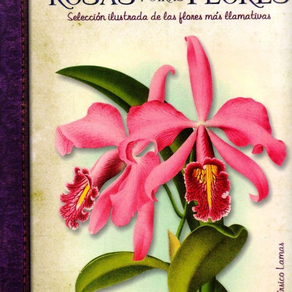 ORQUIDEAS ROSAS Y OTRAS FLORES